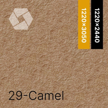 29-Camel